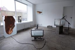 KROPSLOMMER, 2020. Installation view, foto: Olga Benedicte